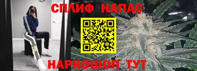 шишки Будённовск