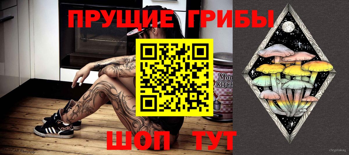 сколько стоит  Вход с VPN  Черняховск  Псилоцибиновые грибы ЛСД  Галлюциногенные грибы GOLDEN TEACHER 